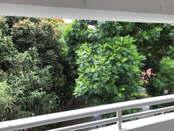 Blk 110 Clementi Street 13 (Clementi), HDB Executive #167279532